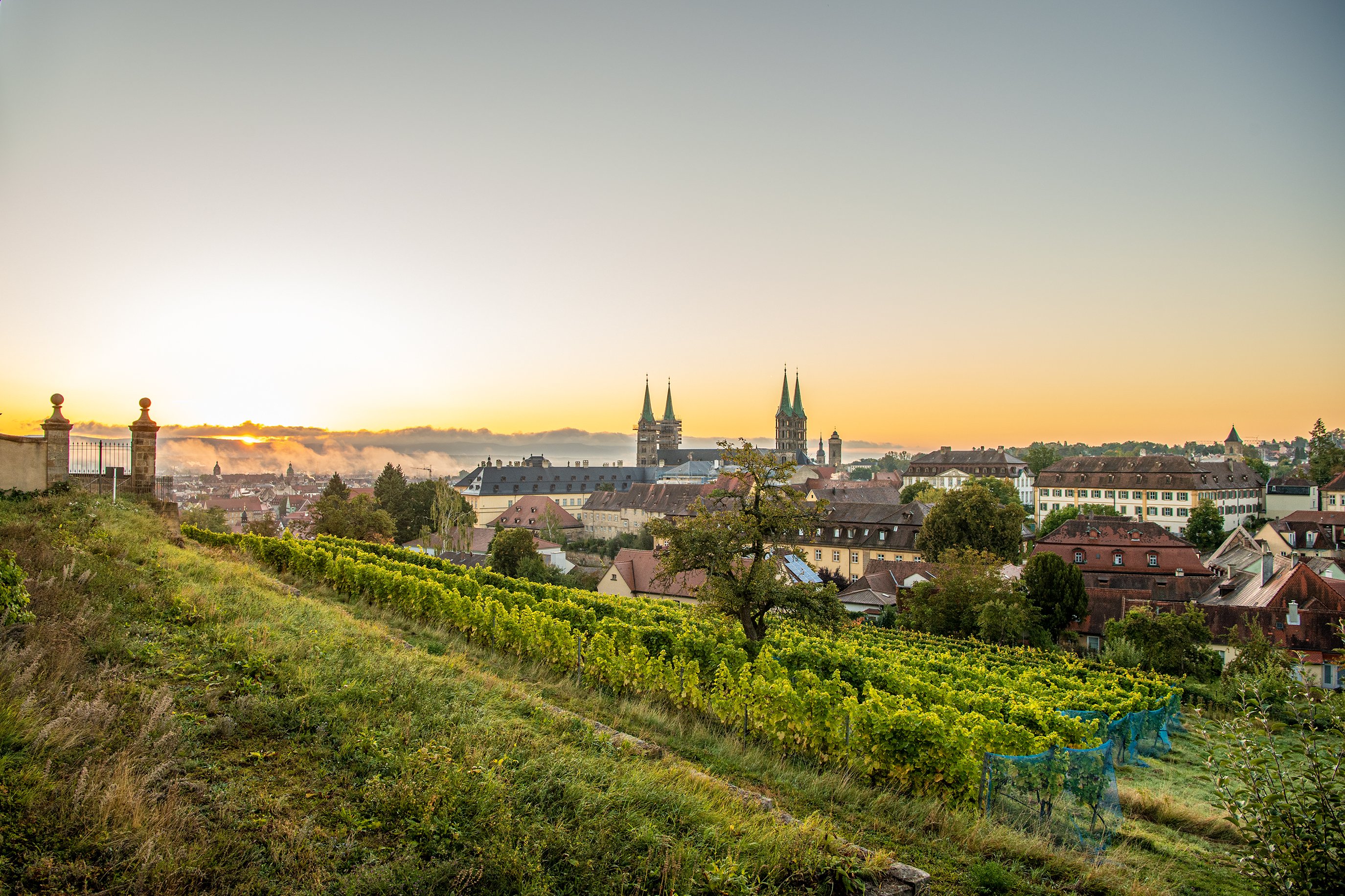 Der Weinberg über dem Stadtgebiet mit dem Bamberger Dom