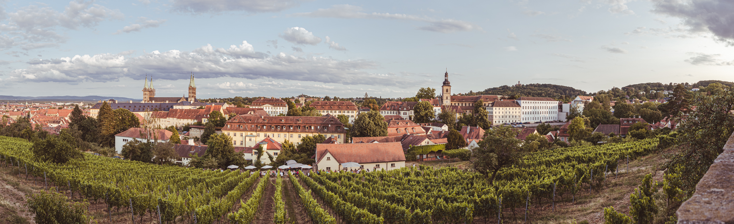 Blick über den Weinberg im Hintergrund feiernde Menschen und das Bamberger Stadtpanorama